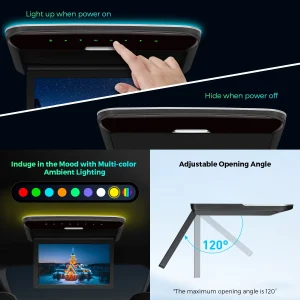 10.2" HD Car Roof Monitor with HDMI - Thumbnail Image 5